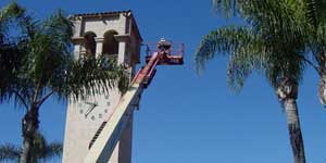 Bee Removal Hermosa Beach CA Difficult bee removal using a 
      manlift.
