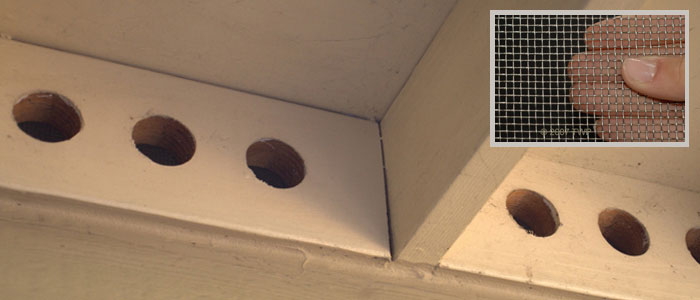 This vent is missing the proper screen and allowing bees to enter the attic.